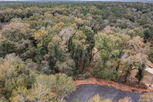 a view of a dry yard with lots of bushes