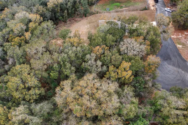 a view of a forest with a houses