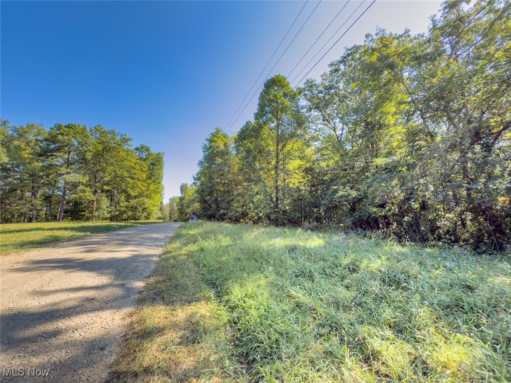 Lot 2 Shinn Road Stockport, OH 43787 - Photo 4 of 17 View of dirt / gravel road with a view of trees