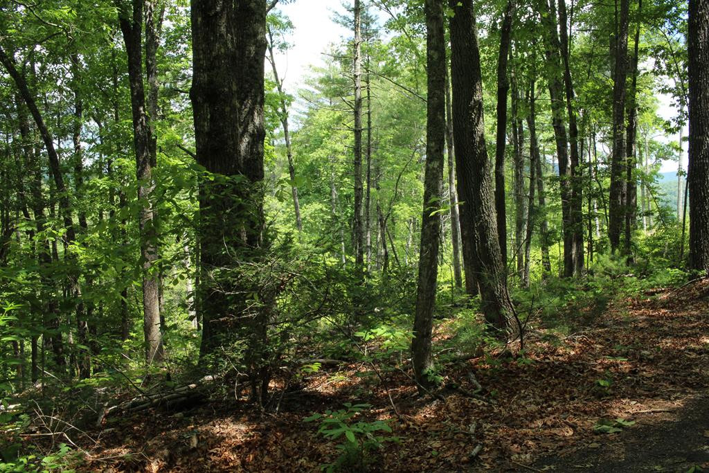 Tbd Martin Road Murphy, NC 28906 - Photo 42 of 50