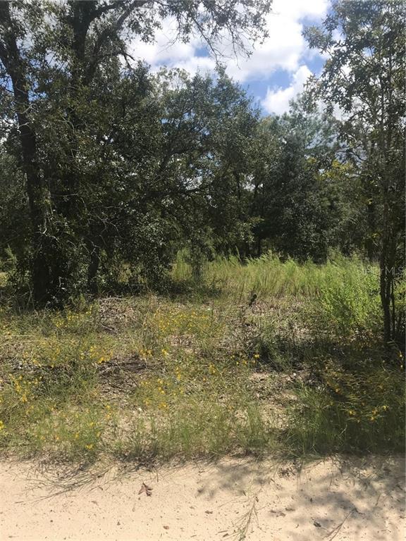 6879 South Wanderlust Point Homosassa, FL 34446 - Photo 1 of 1 Gallery Image 1