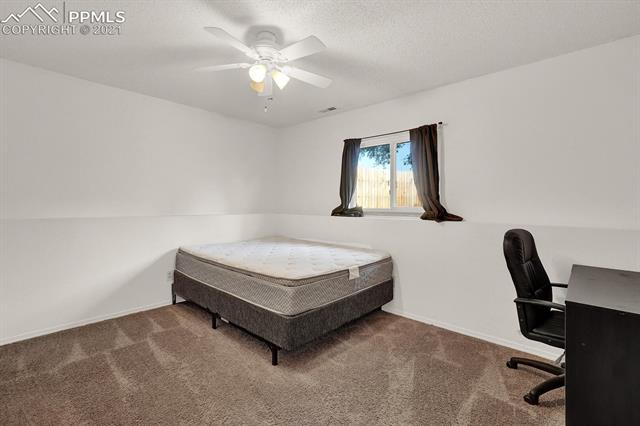 5260 Water Dipper Road Colorado Springs, CO 80911 - Photo 20 of 27