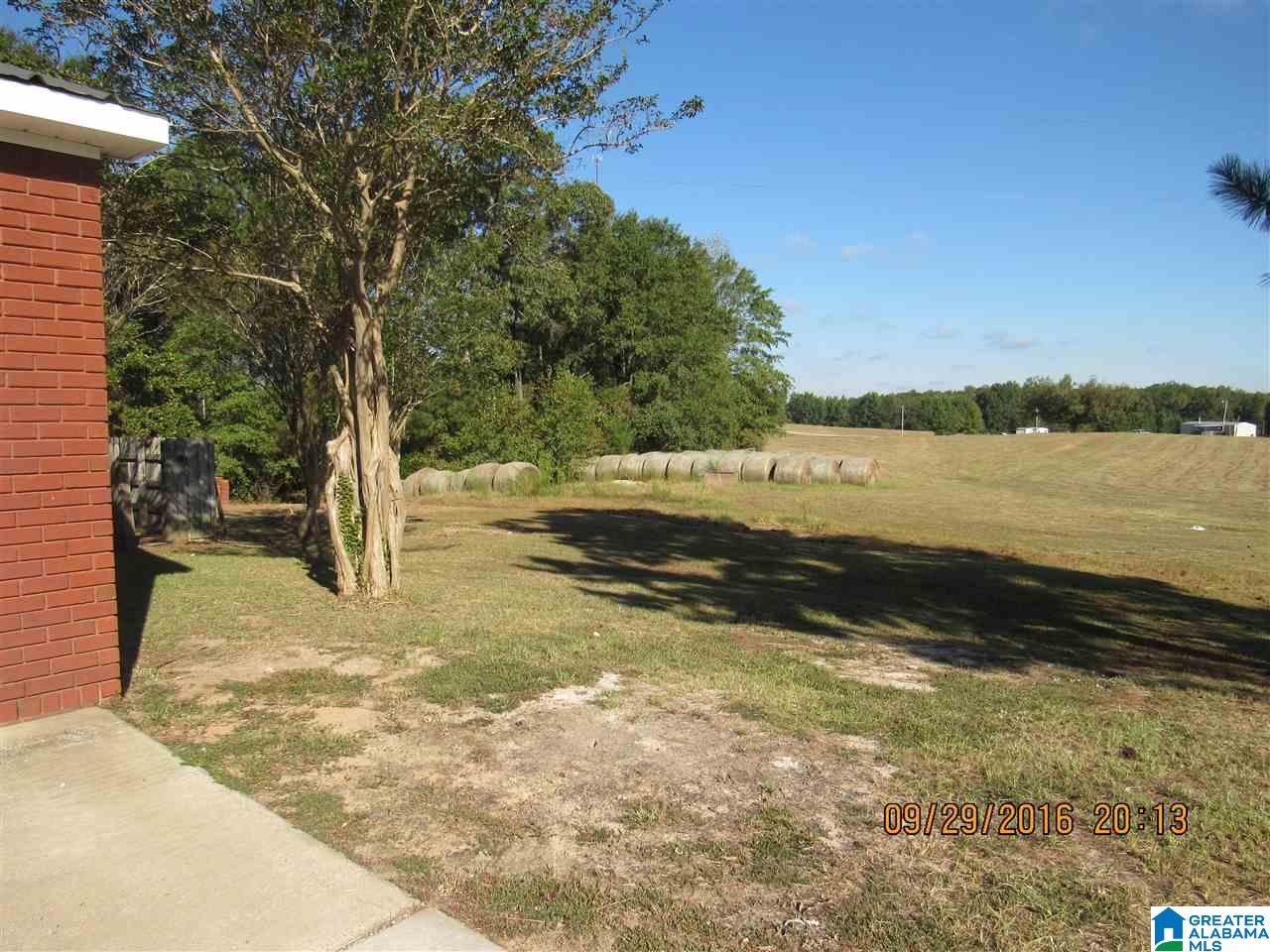 6980 County Road 37 Clanton, AL 35045 - Photo 20 of 22