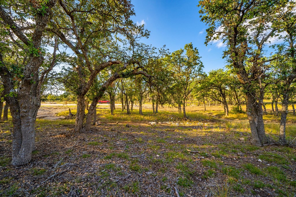 Lot 45 West Nott Branch Road, Unit 45 Harper, TX 78631 - Photo 4 of 5 Gallery Image 4