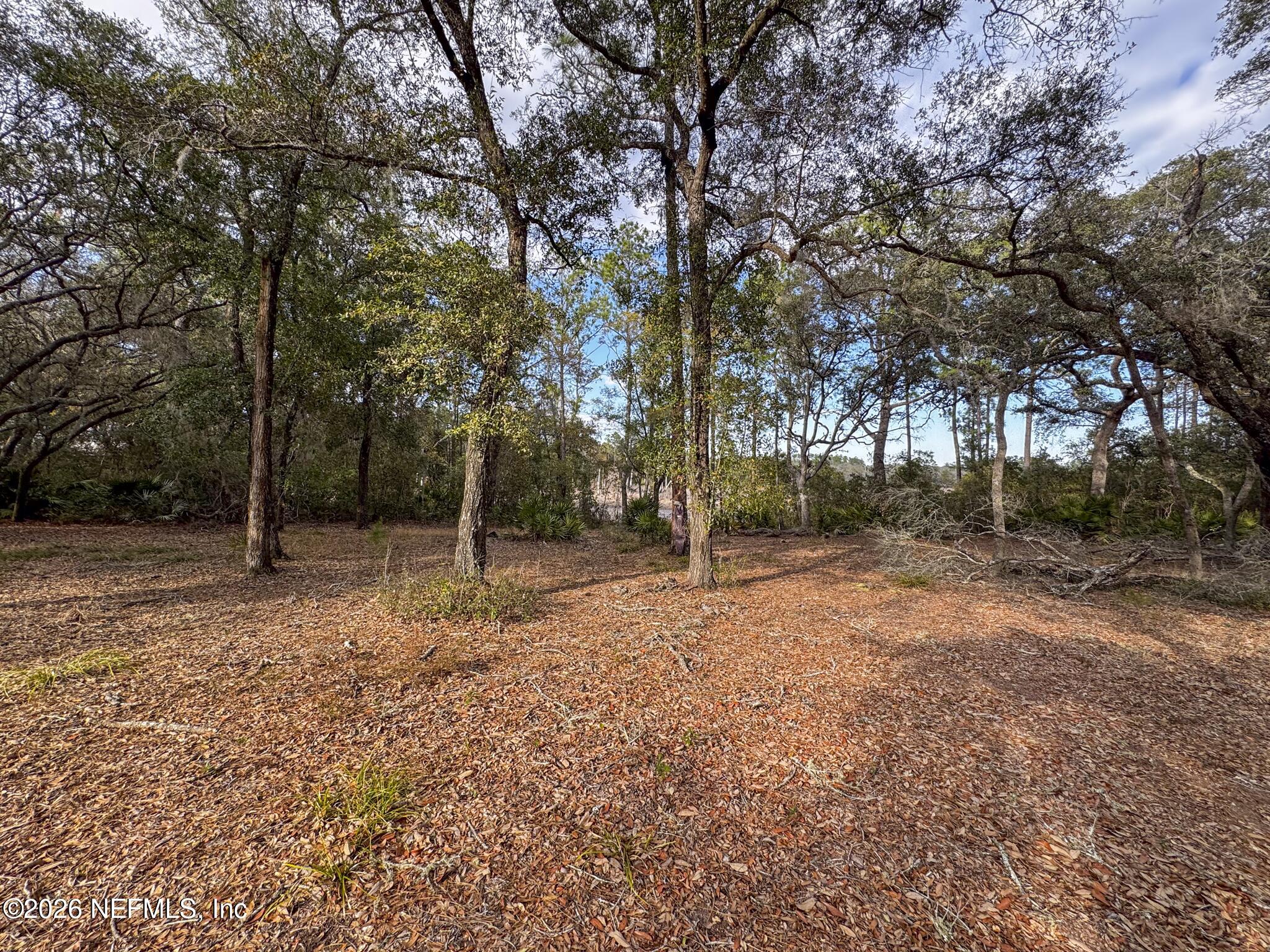 114 Mandarin Lake Road Melrose, FL 32666 - Photo 19 of 26 a backyard of a house with lots of green space