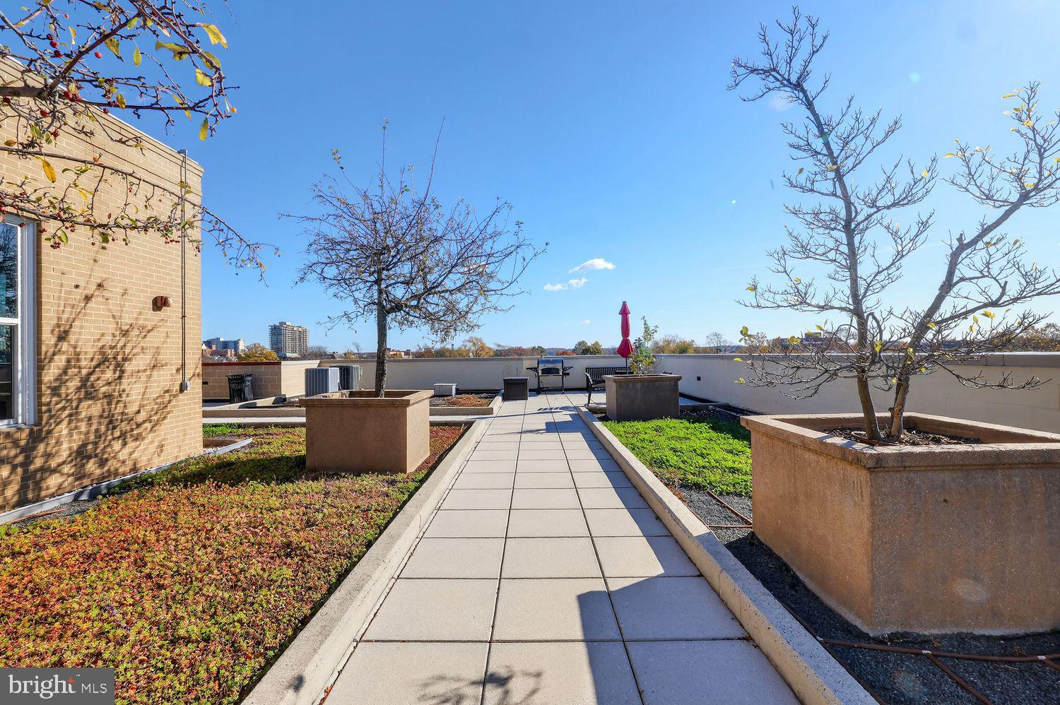 1111 Oronoco Street, Unit 125 Alexandria, VA 22314 - Photo 17 of 20 a view of swimming pool with a lounge chair