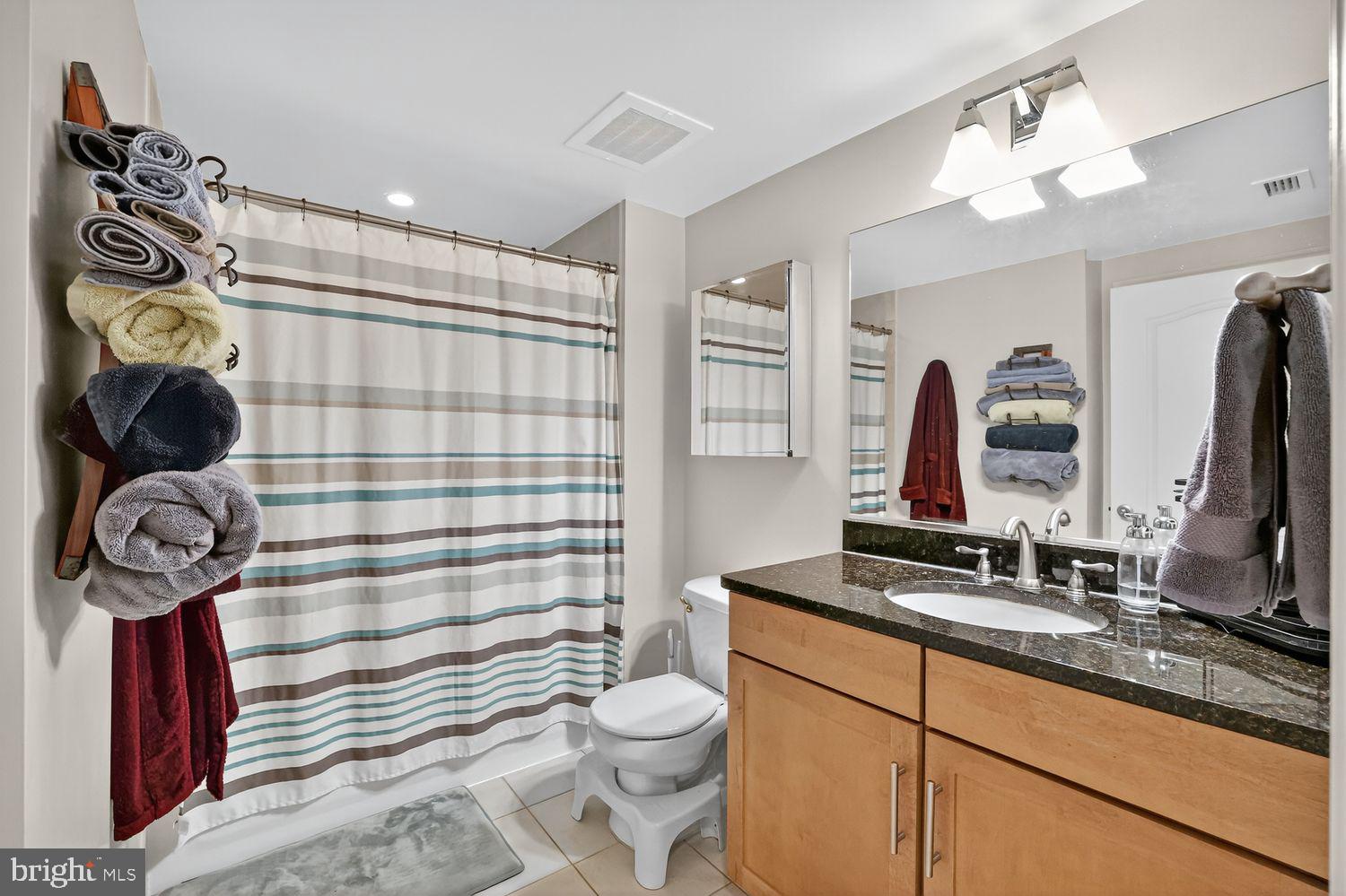 1111 Oronoco Street, Unit 125 Alexandria, VA 22314 - Photo 10 of 20 a bathroom with a sink toilet and shower