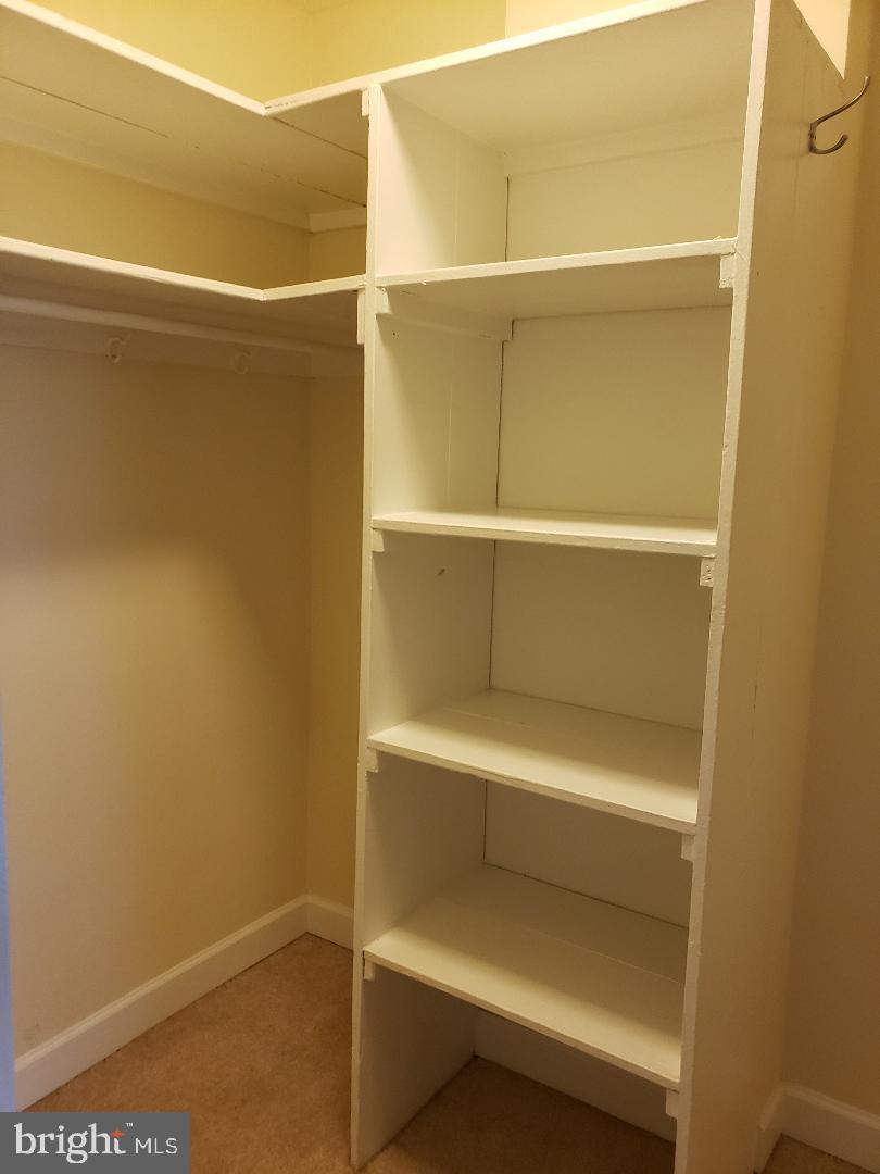 1111 Arlington Boulevard, Unit 815 Arlington, VA 22209 - Photo 13 of 32 a view of walk in closet with empty racks