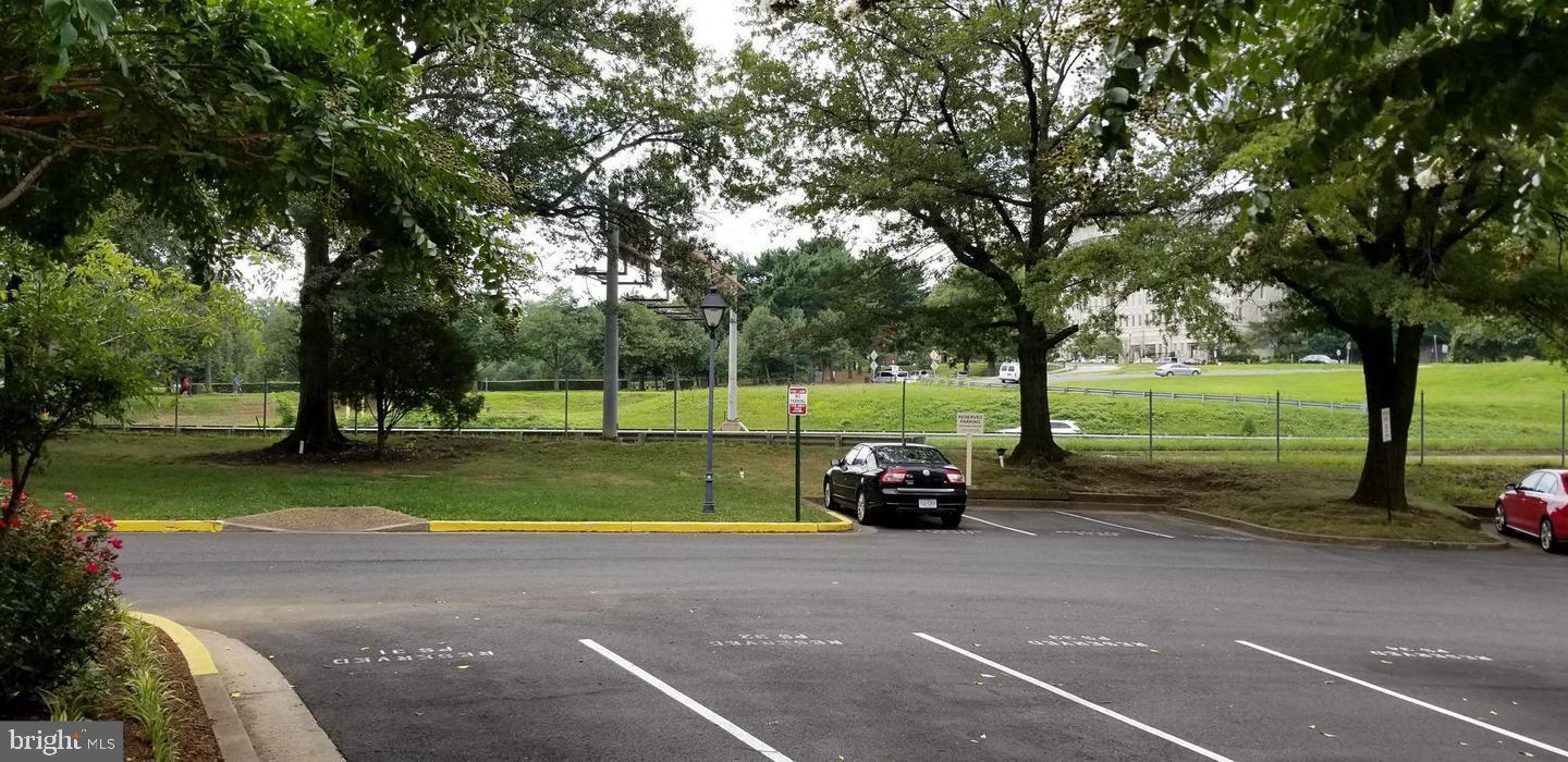 1111 Arlington Boulevard, Unit 815 Arlington, VA 22209 - Photo 20 of 32 a view of a park with large trees