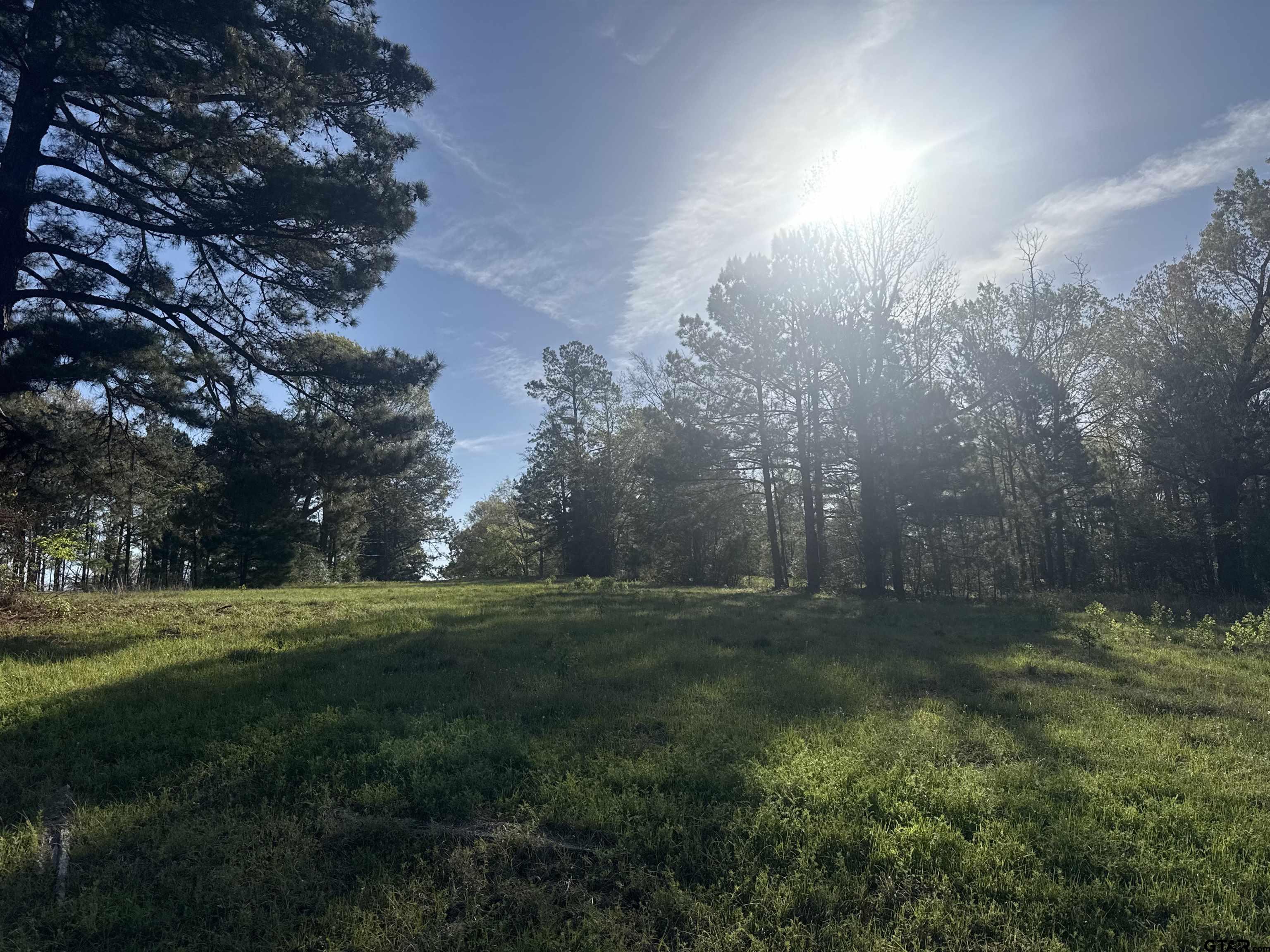 15830 Shady Creek Road Tyler, TX 75705 - Photo 4 of 18 a big yard with lots of green space and trees