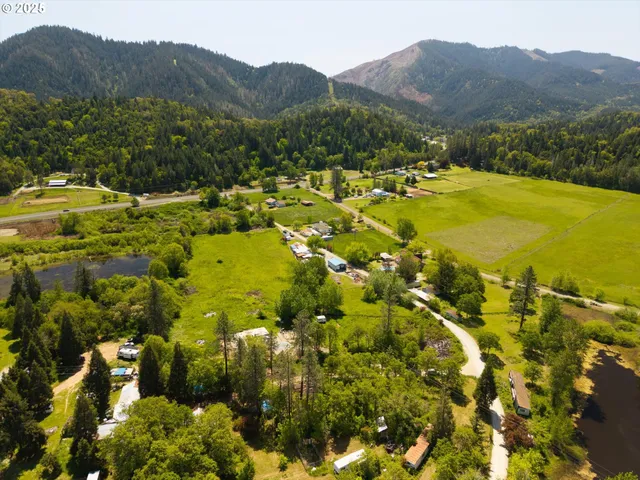 a view of an aerial view of residential houses with outdoor space and trees