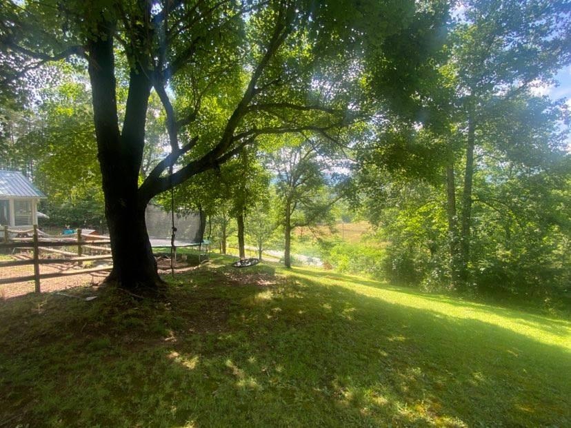 61 Country View Lane Mill Spring, NC 28756 - Photo 25 of 32