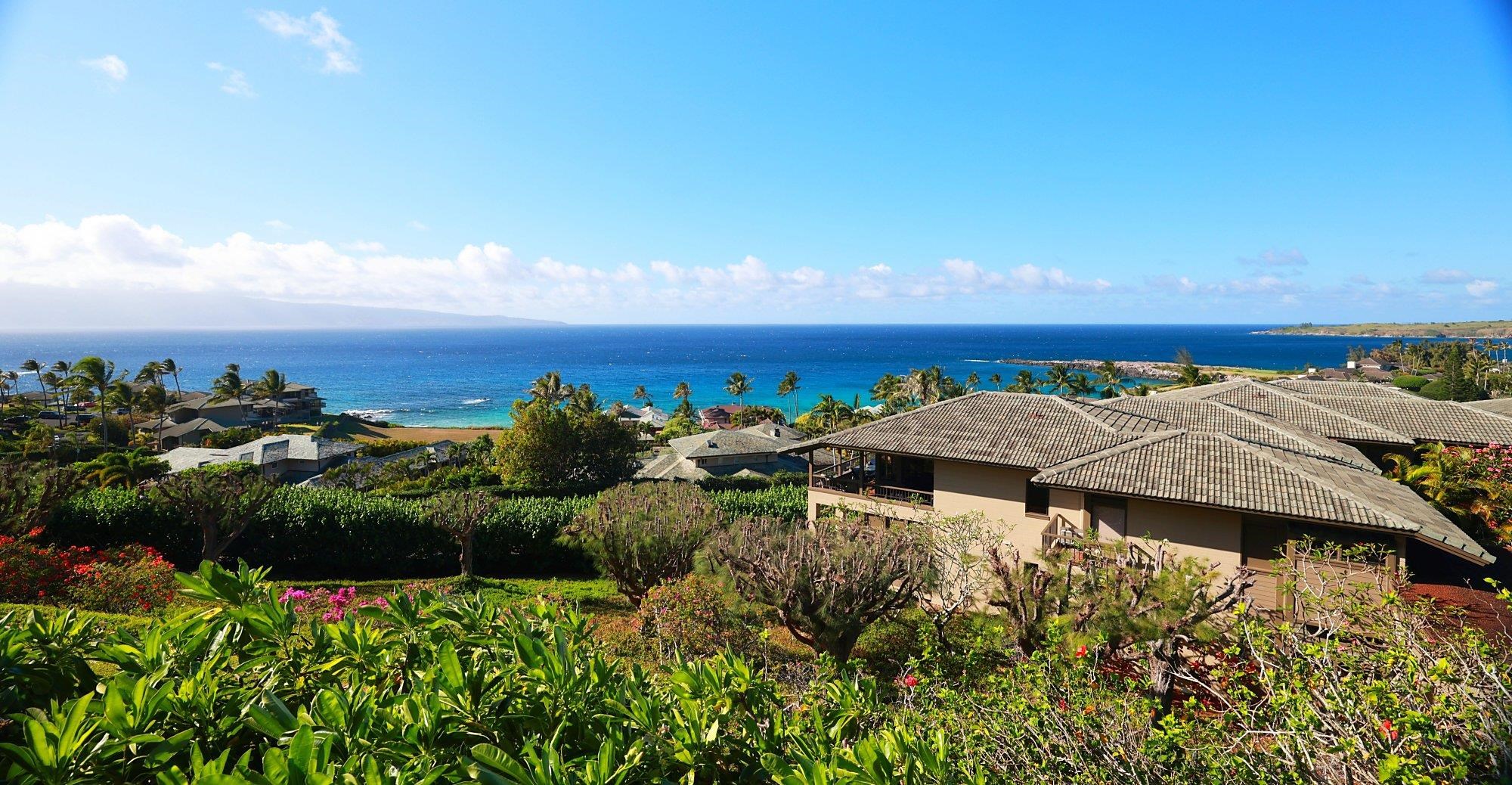 100 Ridge Road, Unit 191113 Lahaina, HI 96761 - Photo 35 of 50 Gallery Image 35