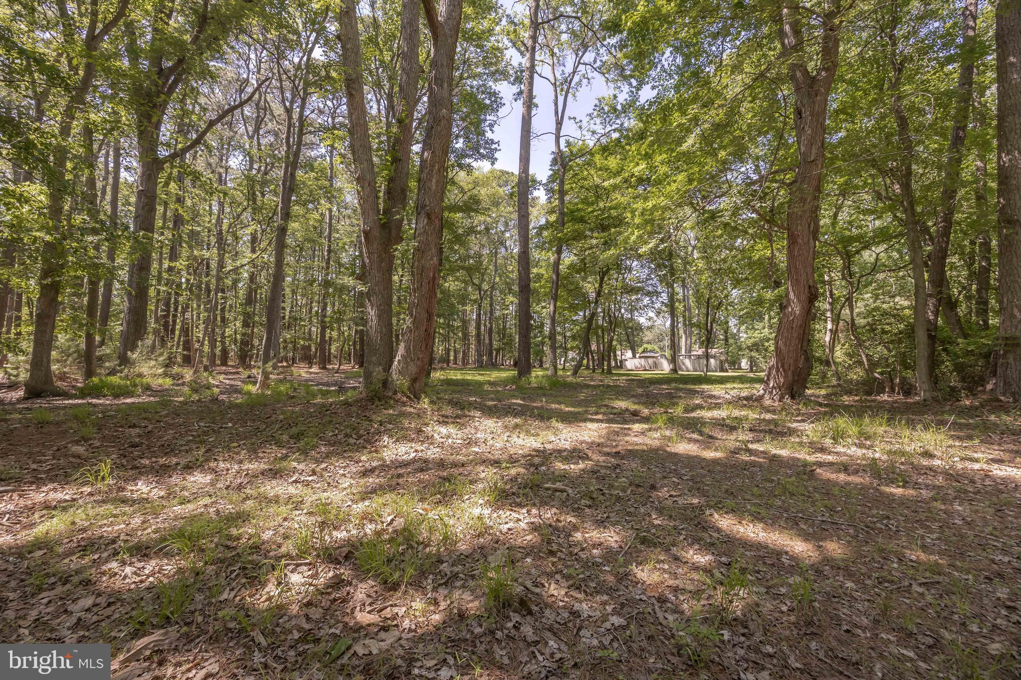26547 Old State Road Crisfield, MD 21817 - Photo 70 of 88 Gallery Image 70