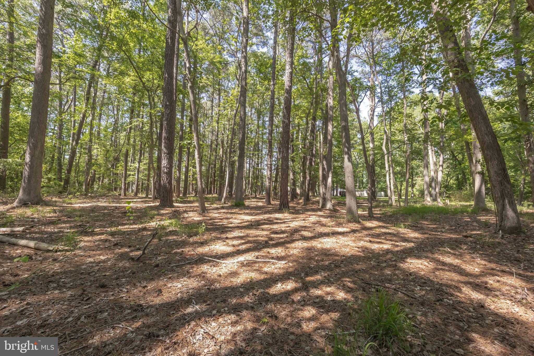 26547 Old State Road Crisfield, MD 21817 - Photo 71 of 88 Gallery Image 71