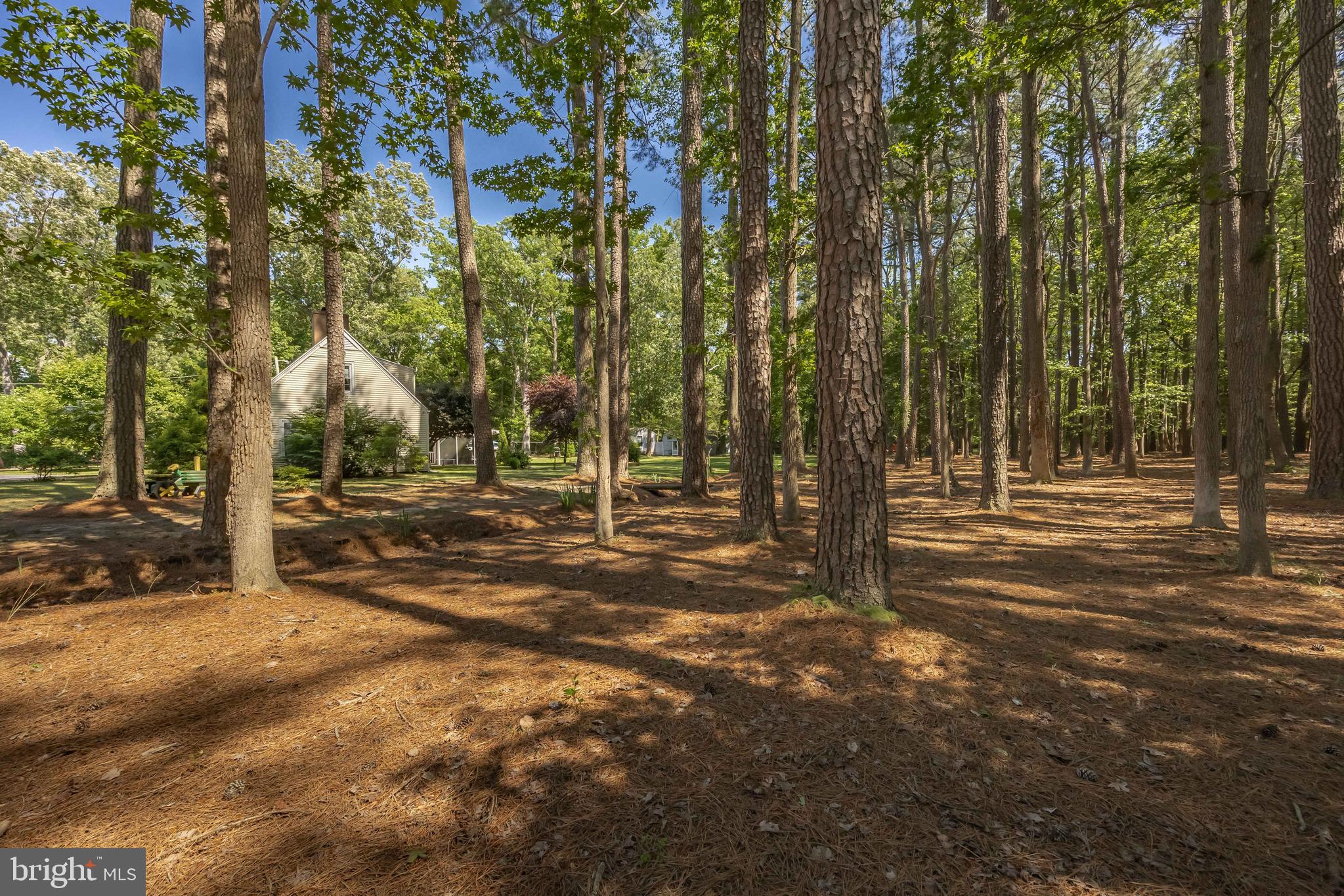 26547 Old State Road Crisfield, MD 21817 - Photo 86 of 88 Gallery Image 86