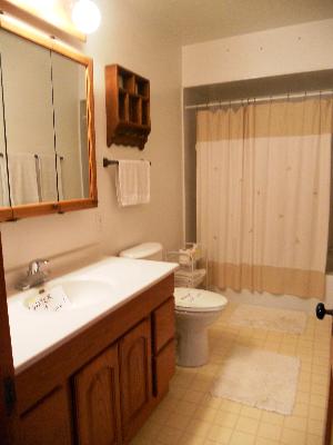 10N915 Muirhead Road Elgin, IL 60124 - Photo 8 of 13