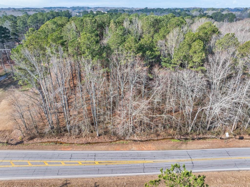 0 Monroe Highway Bethlehem, GA 30620 - Photo 5 of 12 a view of a yard with wooden floor