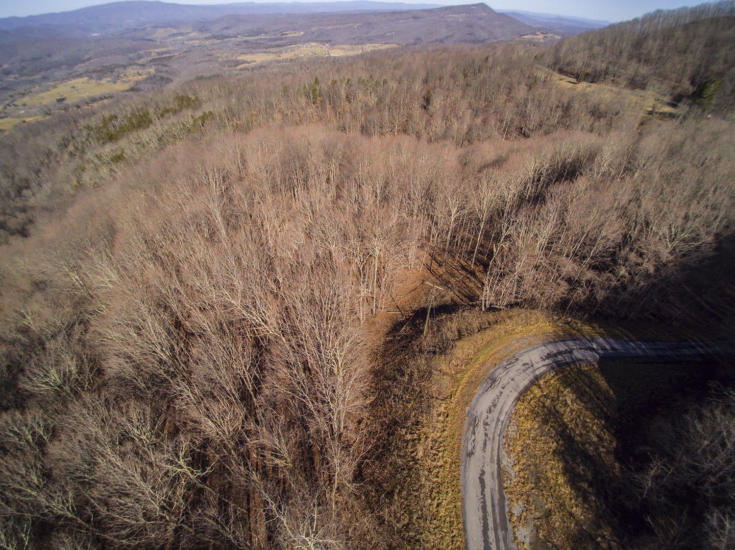 Knobbs Rd Union Union, WV 24983 - Photo 30 of 47 Gallery Image 30