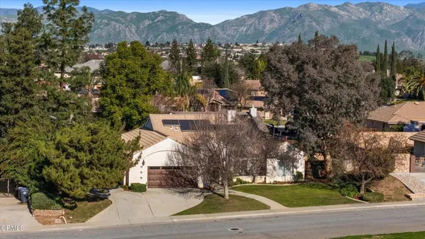 a view of yard with tree s