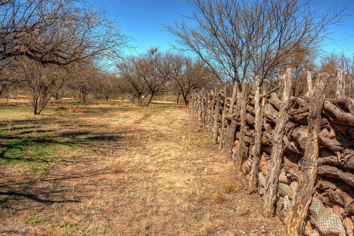 174 Bridge Road Tubac, AZ 85646 - Photo 26 of 28