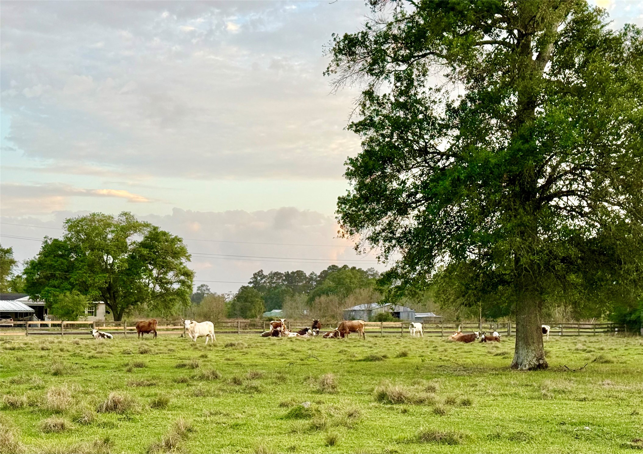 635 Texla Road Vidor, TX 77662 - Photo 33 of 49