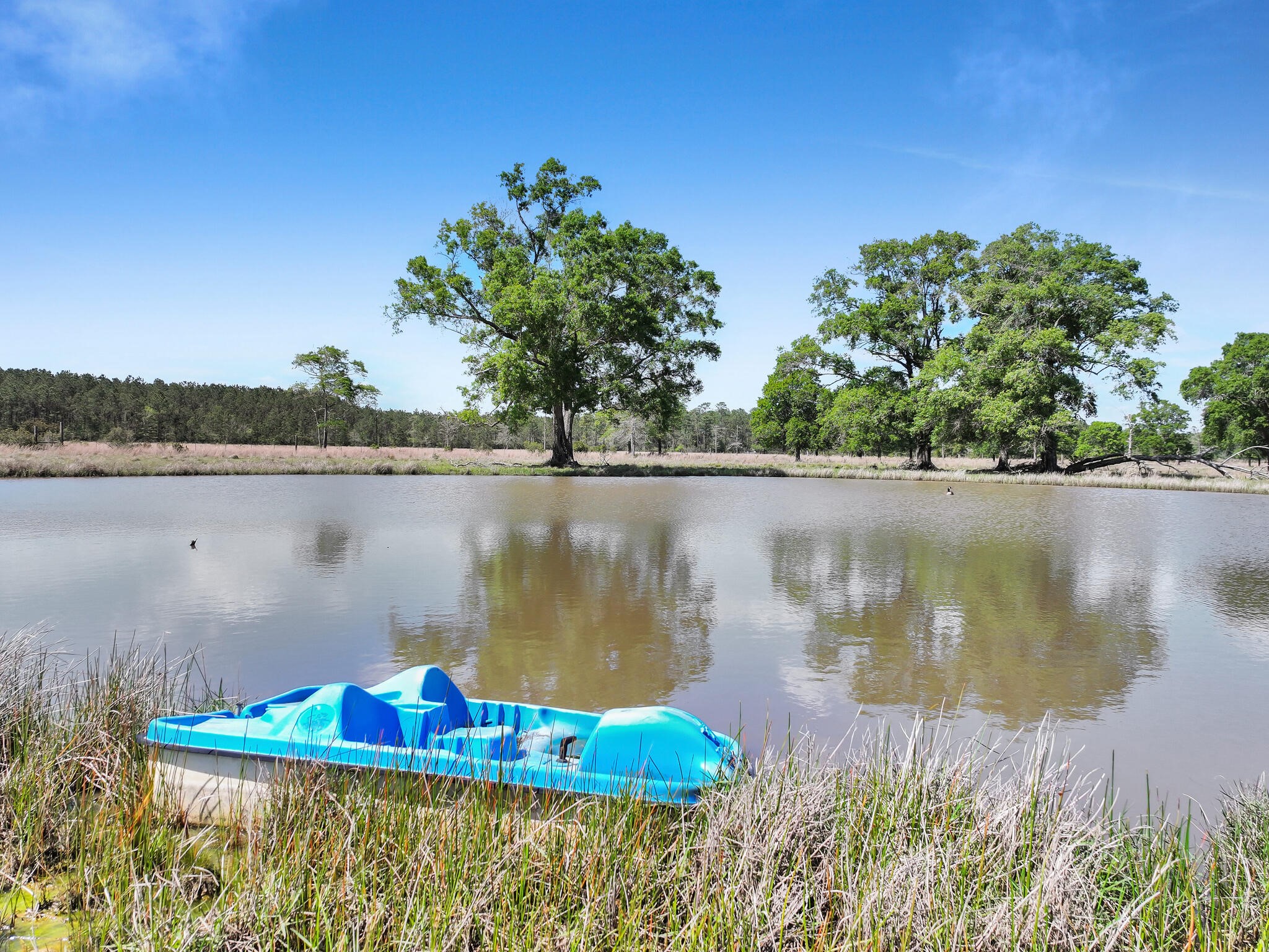 635 Texla Road Vidor, TX 77662 - Photo 38 of 49