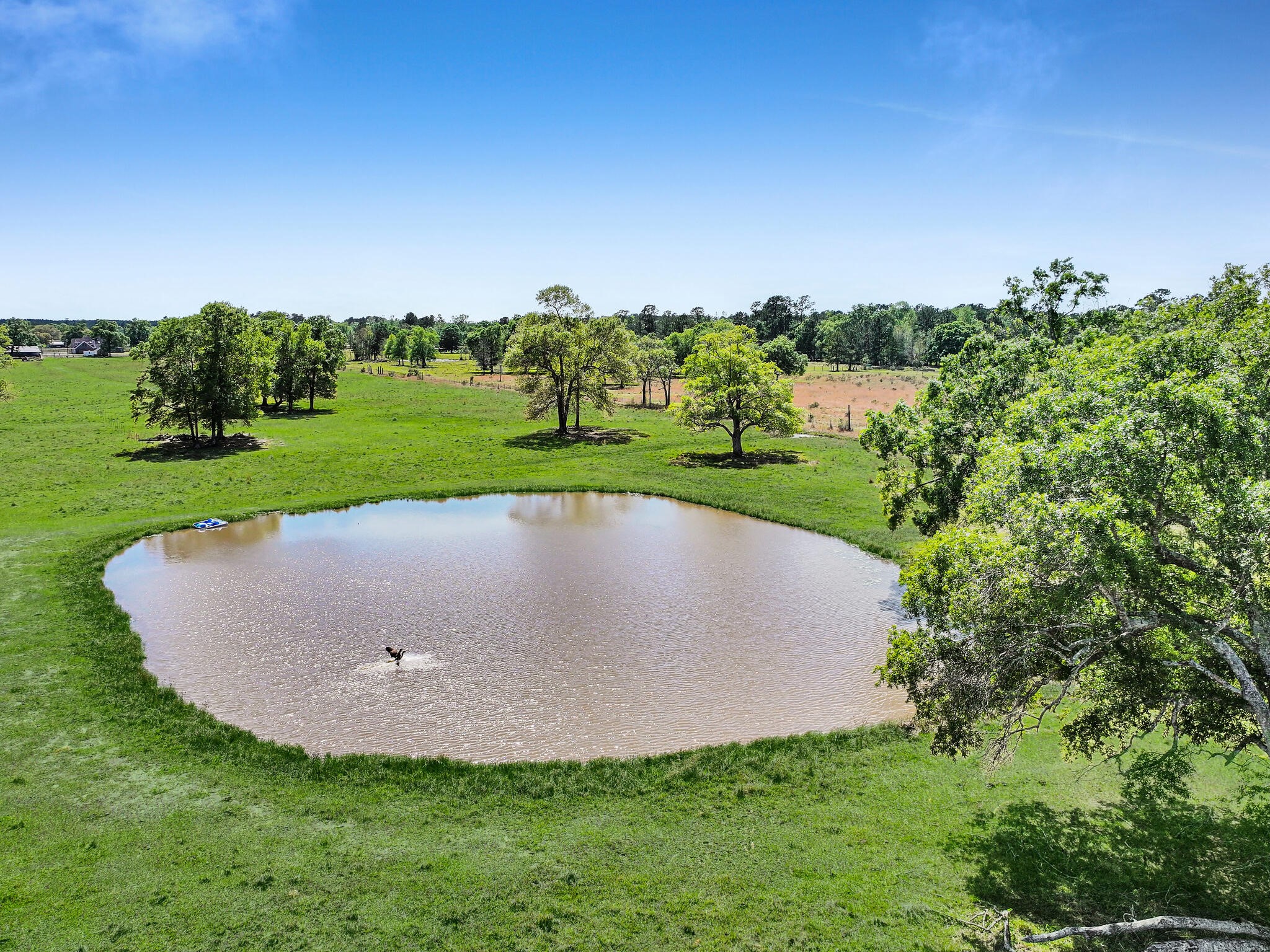 635 Texla Road Vidor, TX 77662 - Photo 42 of 49