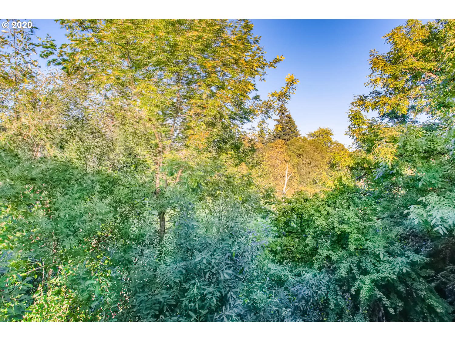 10660 Southwest Davies Road, Unit 31 Beaverton, OR 97008 - Photo 25 of 30