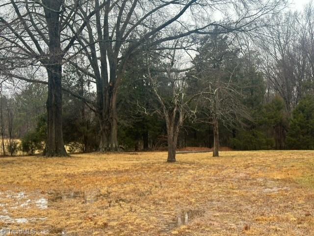 461 Ogburn Mill Road Stokesdale, NC 27357 - Photo 24 of 25