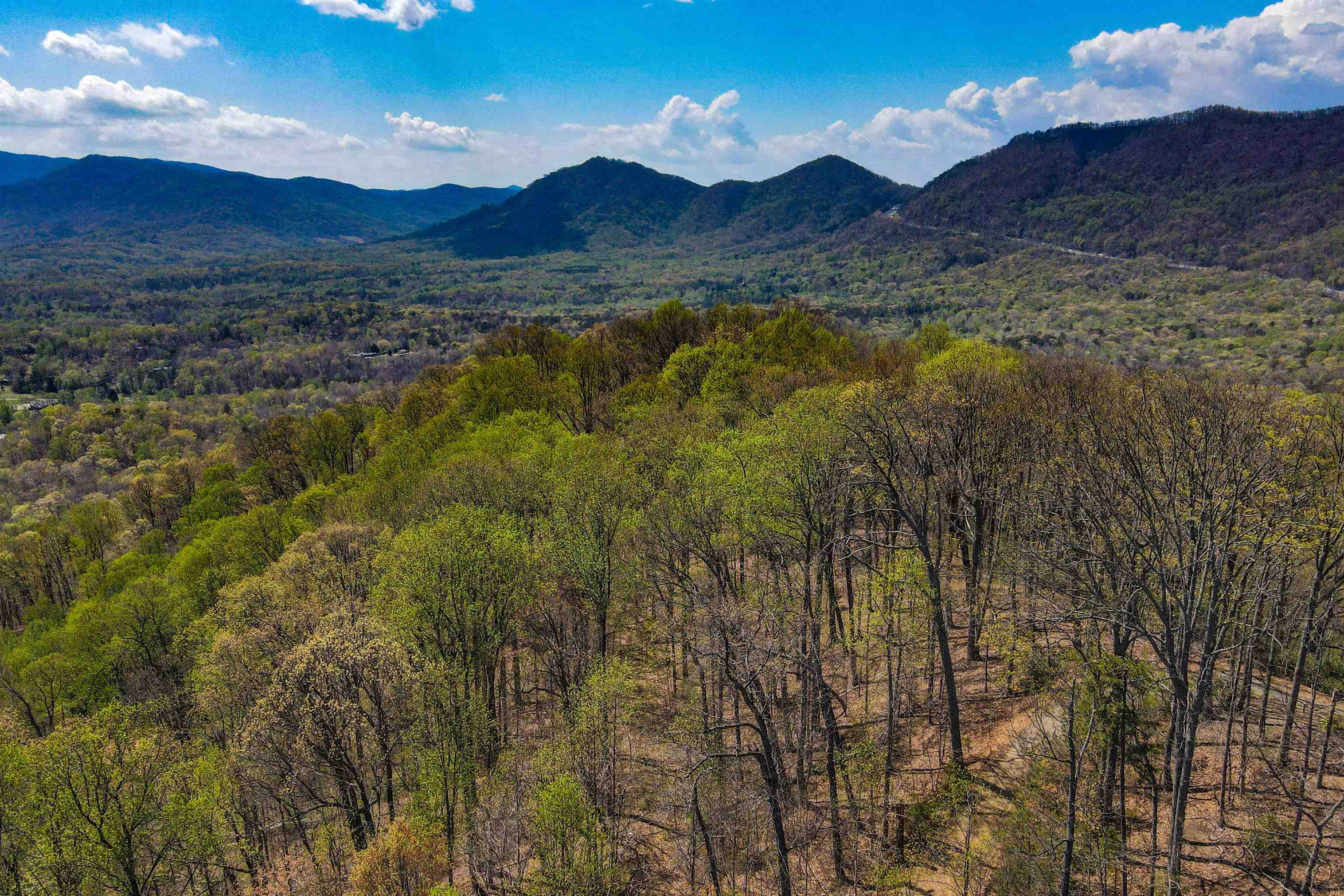 0 Ragans Point Columbus, NC 28722 - Photo 2 of 10