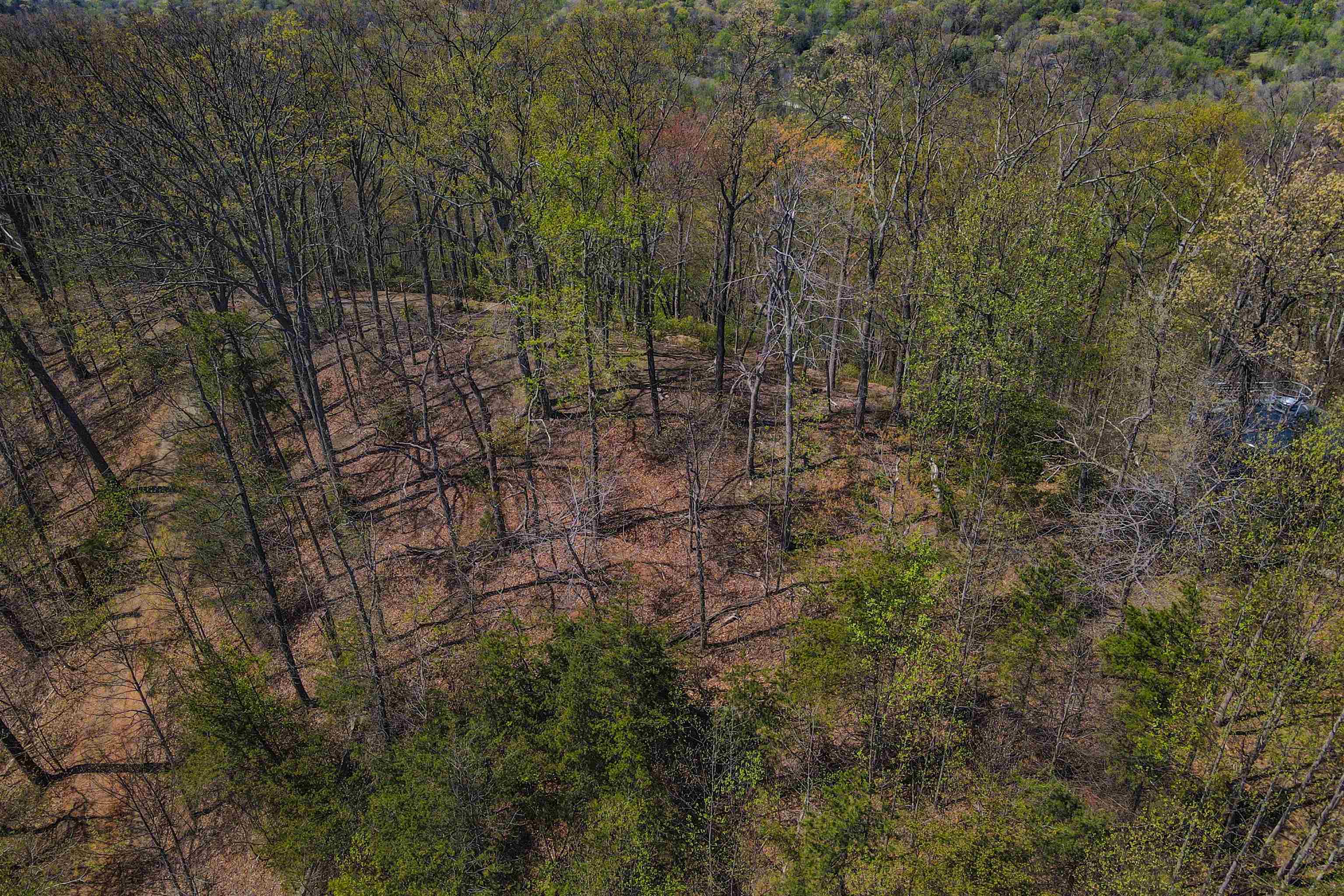 0 Ragans Point Columbus, NC 28722 - Photo 4 of 10