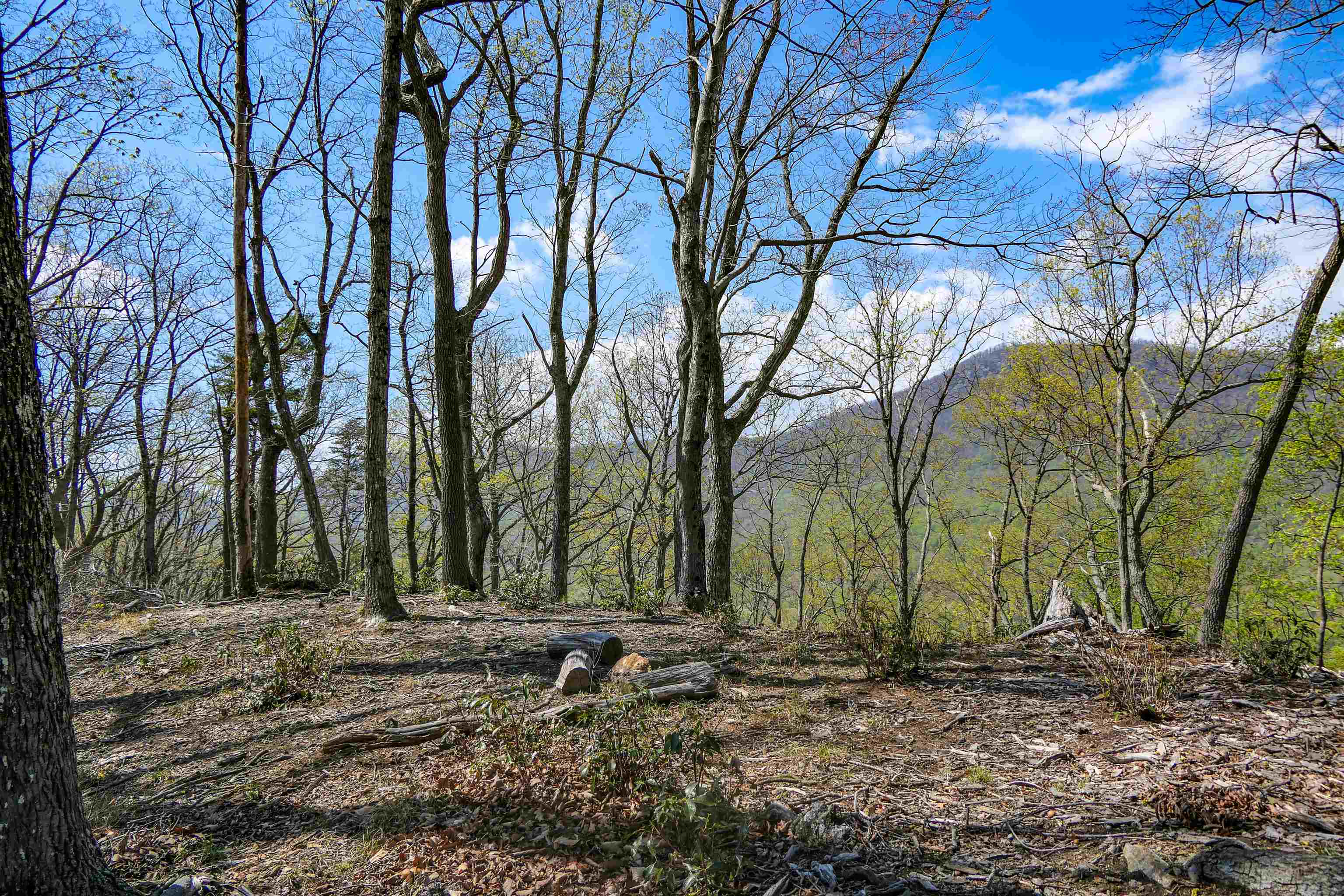 0 Ragans Point Columbus, NC 28722 - Photo 7 of 10