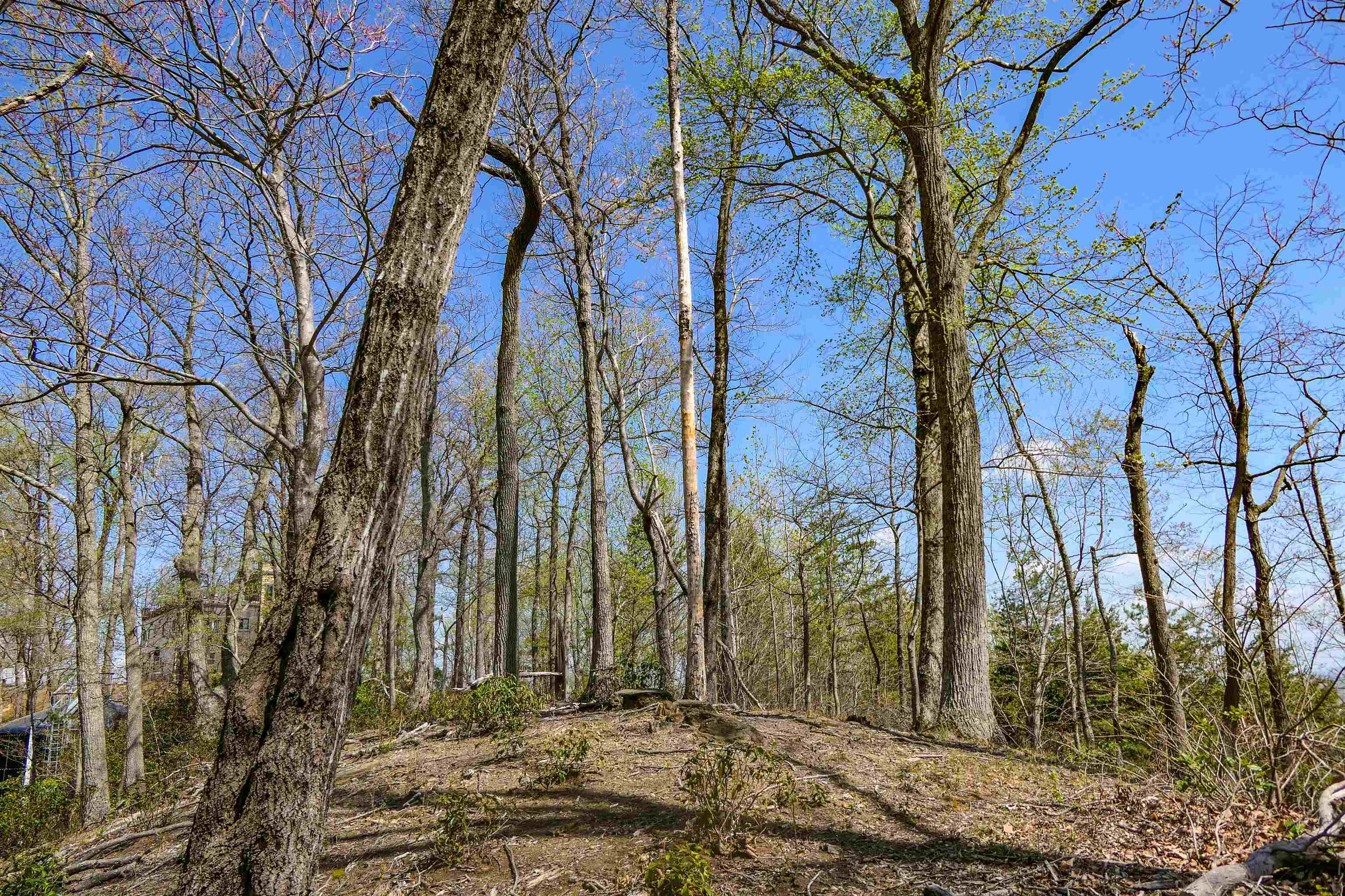 0 Ragans Point Columbus, NC 28722 - Photo 9 of 10