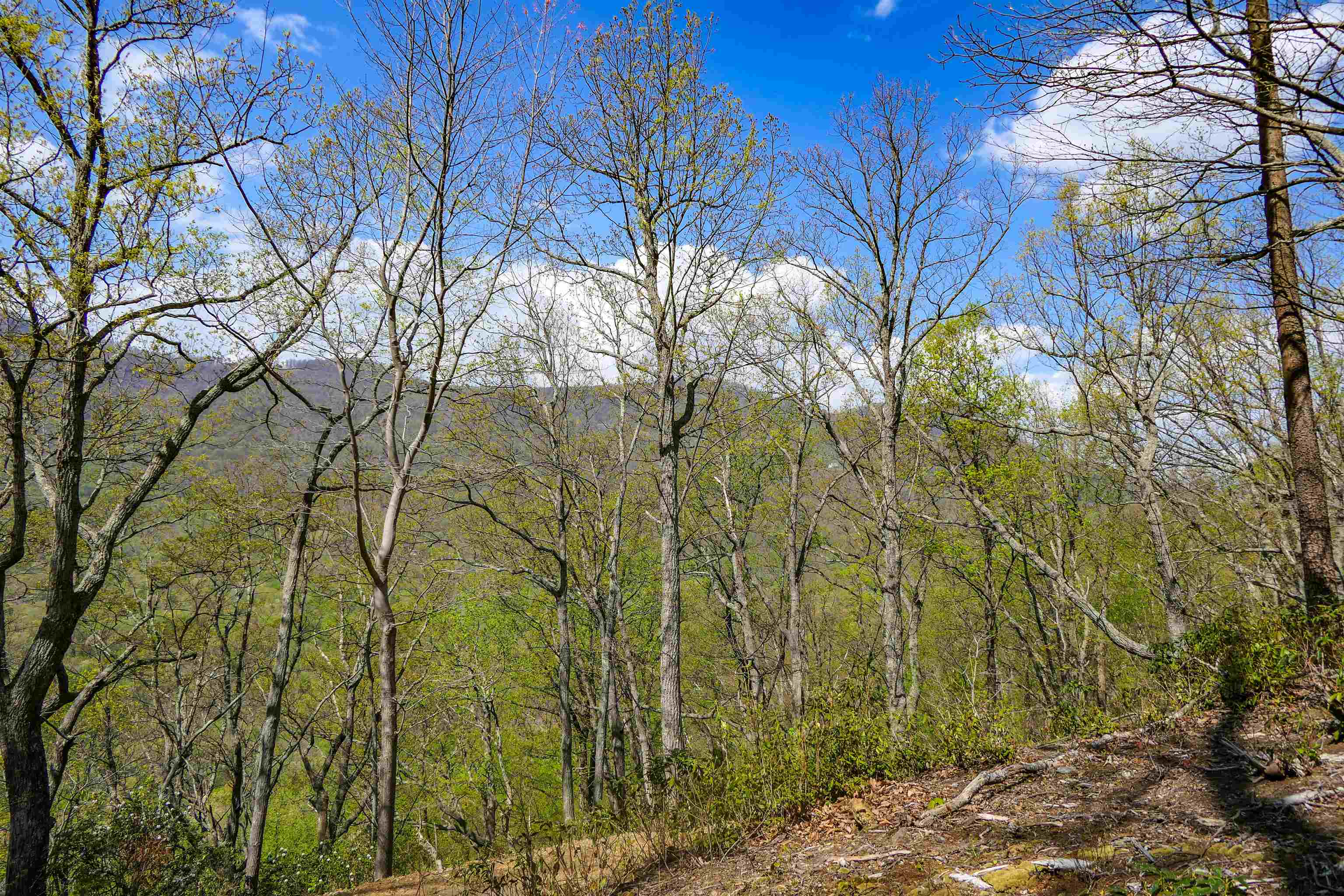 0 Ragans Point Columbus, NC 28722 - Photo 10 of 10