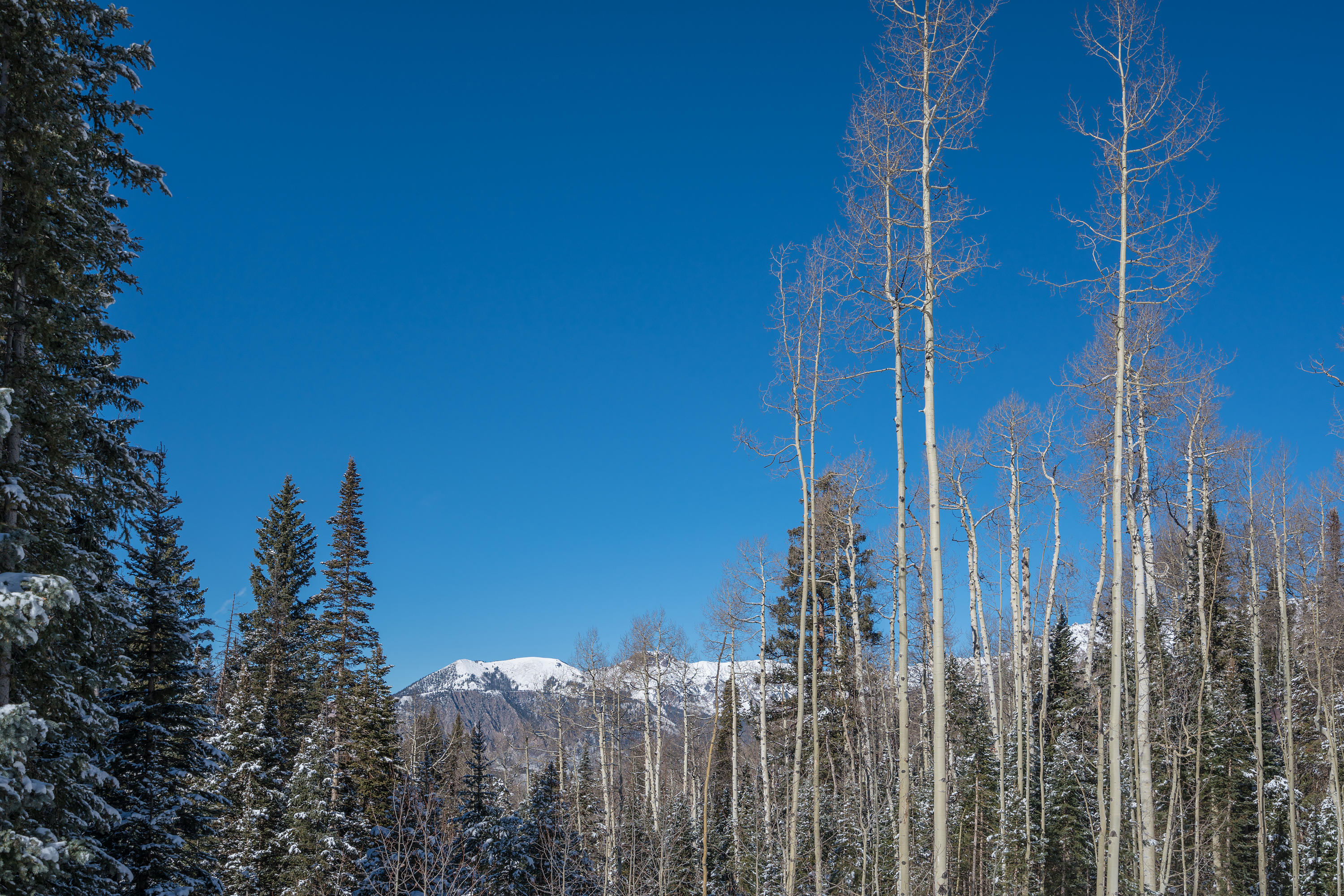 35 Skunk Creek Road Telluride, CO 81435 - Photo 36 of 38 DSC07780