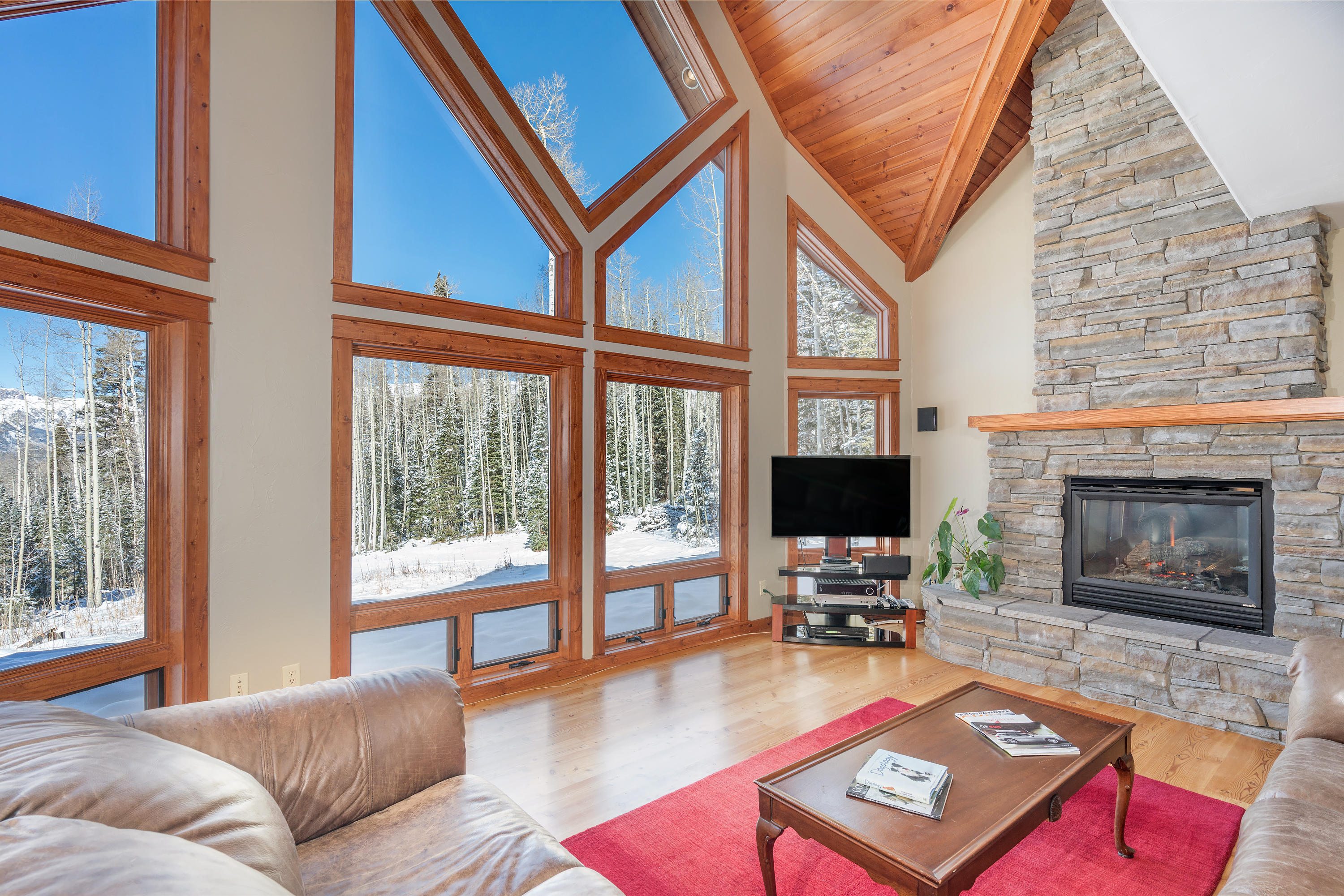 35 Skunk Creek Road Telluride, CO 81435 - Photo 5 of 38 DSC07771
