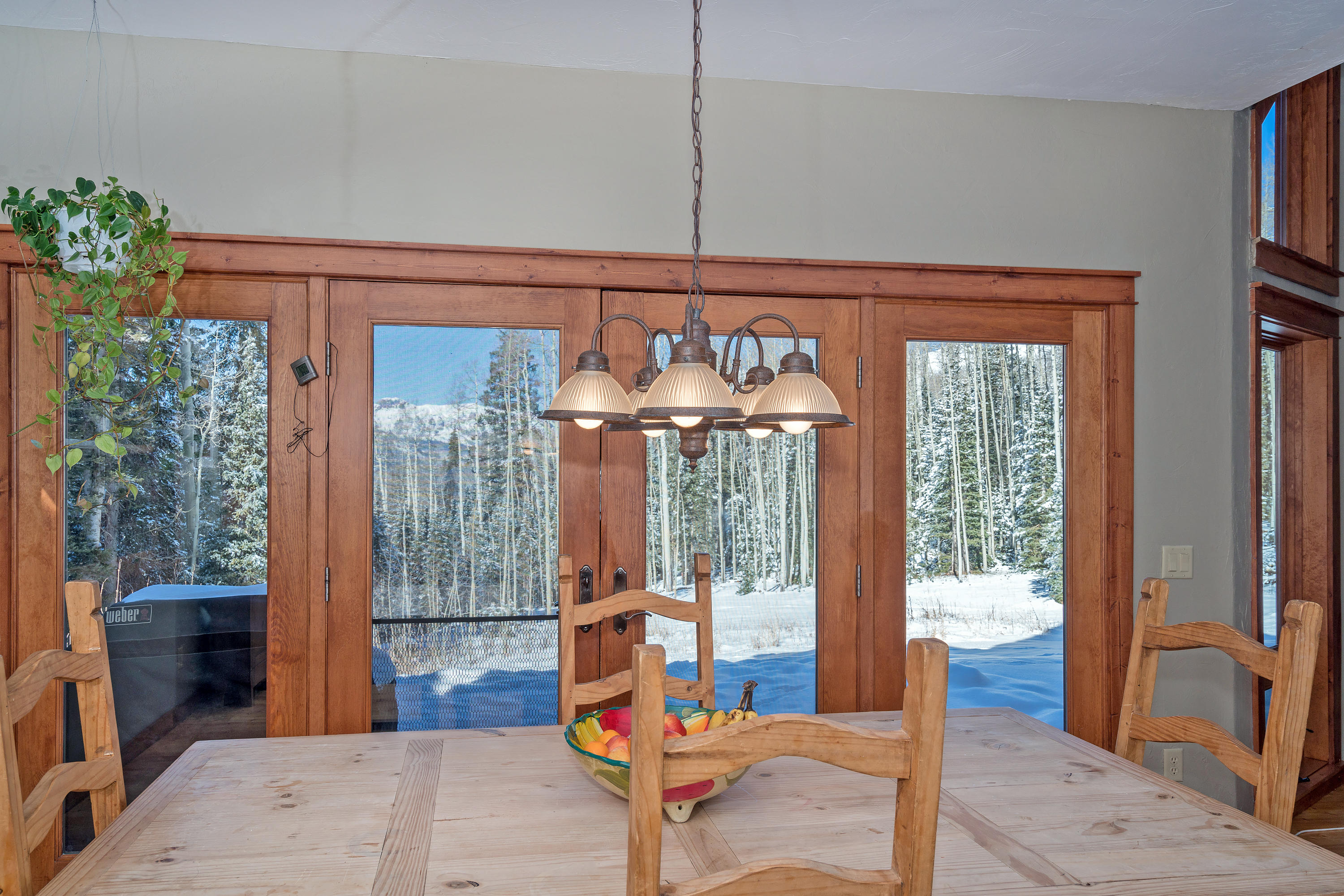 35 Skunk Creek Road Telluride, CO 81435 - Photo 8 of 38 DSC07763