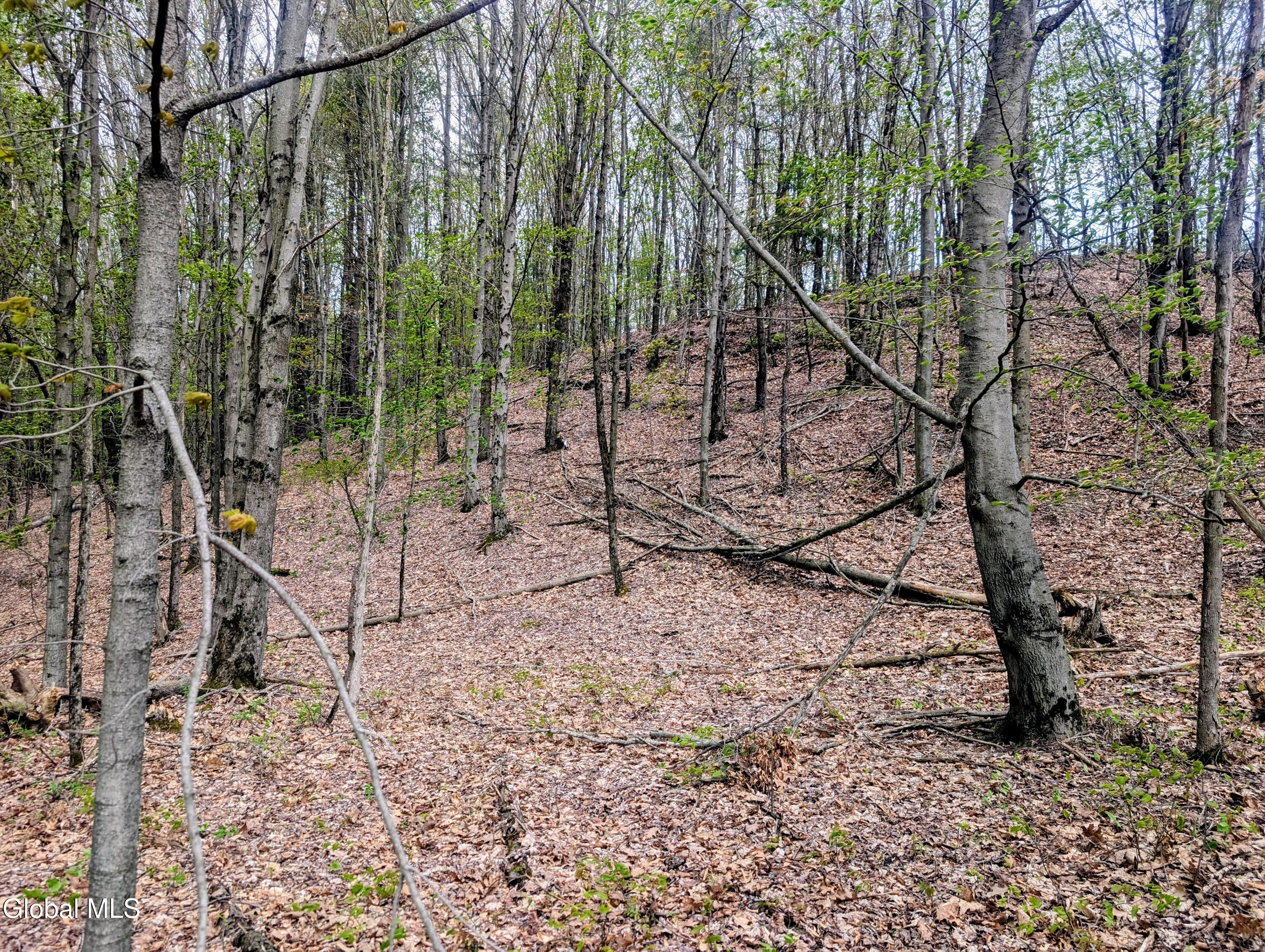 452 Johnson Hill Road Hoosick Falls, NY 12090 - Photo 4 of 8 Pic 4