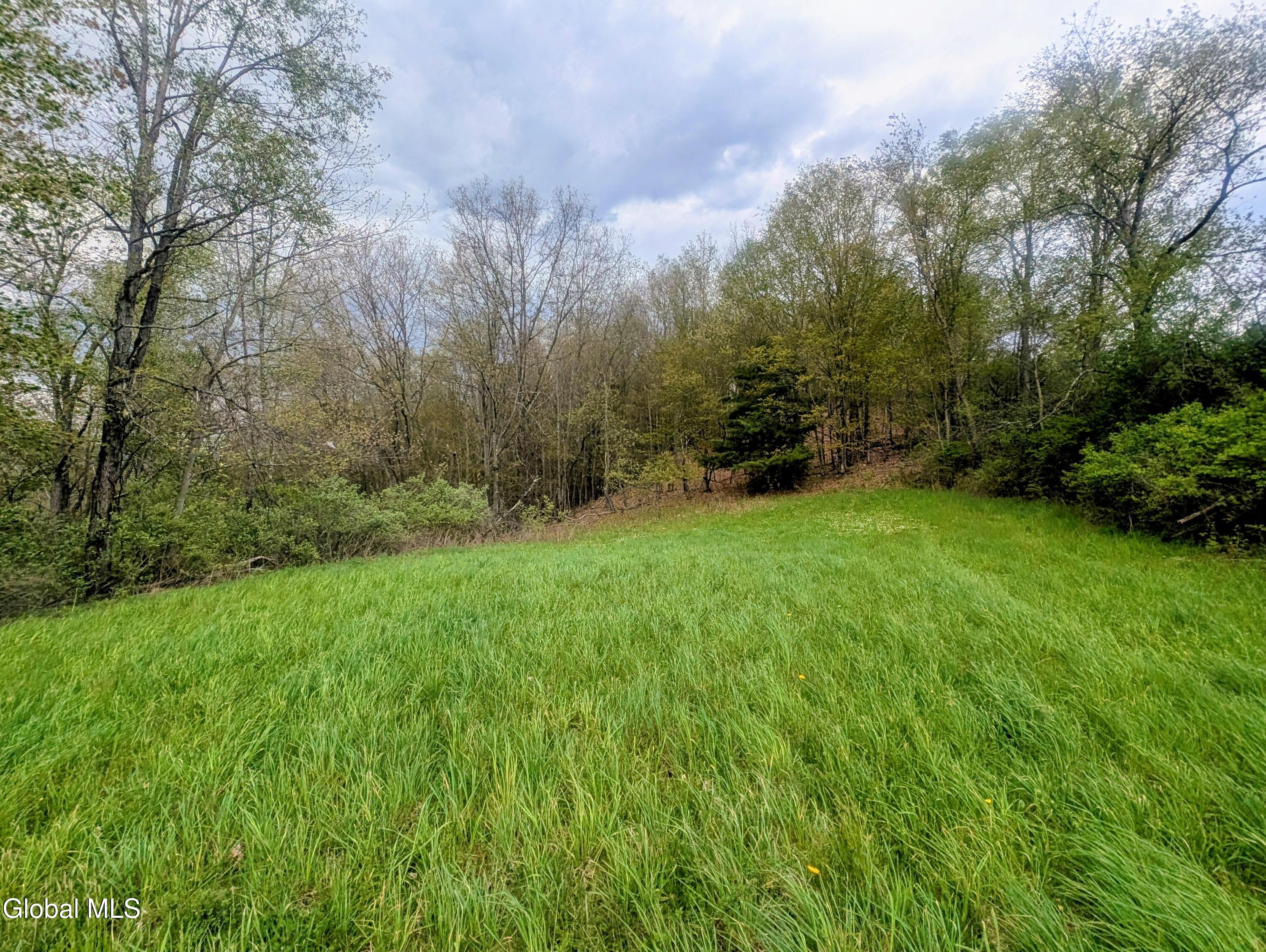 452 Johnson Hill Road Hoosick Falls, NY 12090 - Photo 7 of 8 Pic 7
