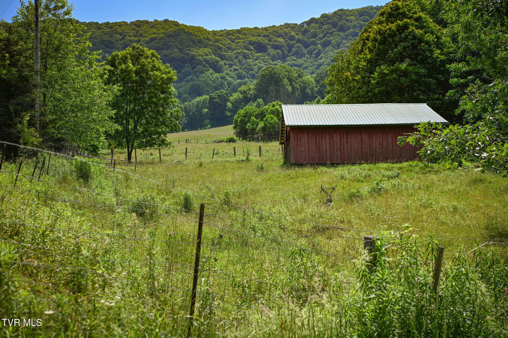 120 Teaberry Road Roan Mountain, TN 37687 - Photo 45 of 56 44-web-or-mls-EXT_4030