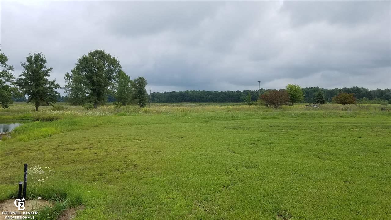 9022 Fisher Road Yale, MI 48097 - Photo 38 of 40 Yard view 2