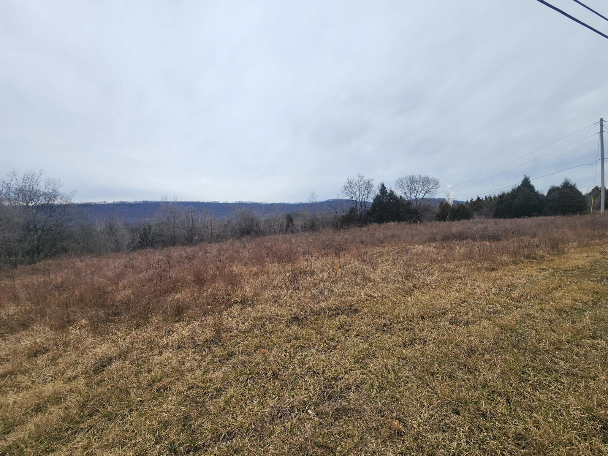 1 Rhea County Highway Spring City, TN 37381 - Photo 6 of 10 Gallery Image 6