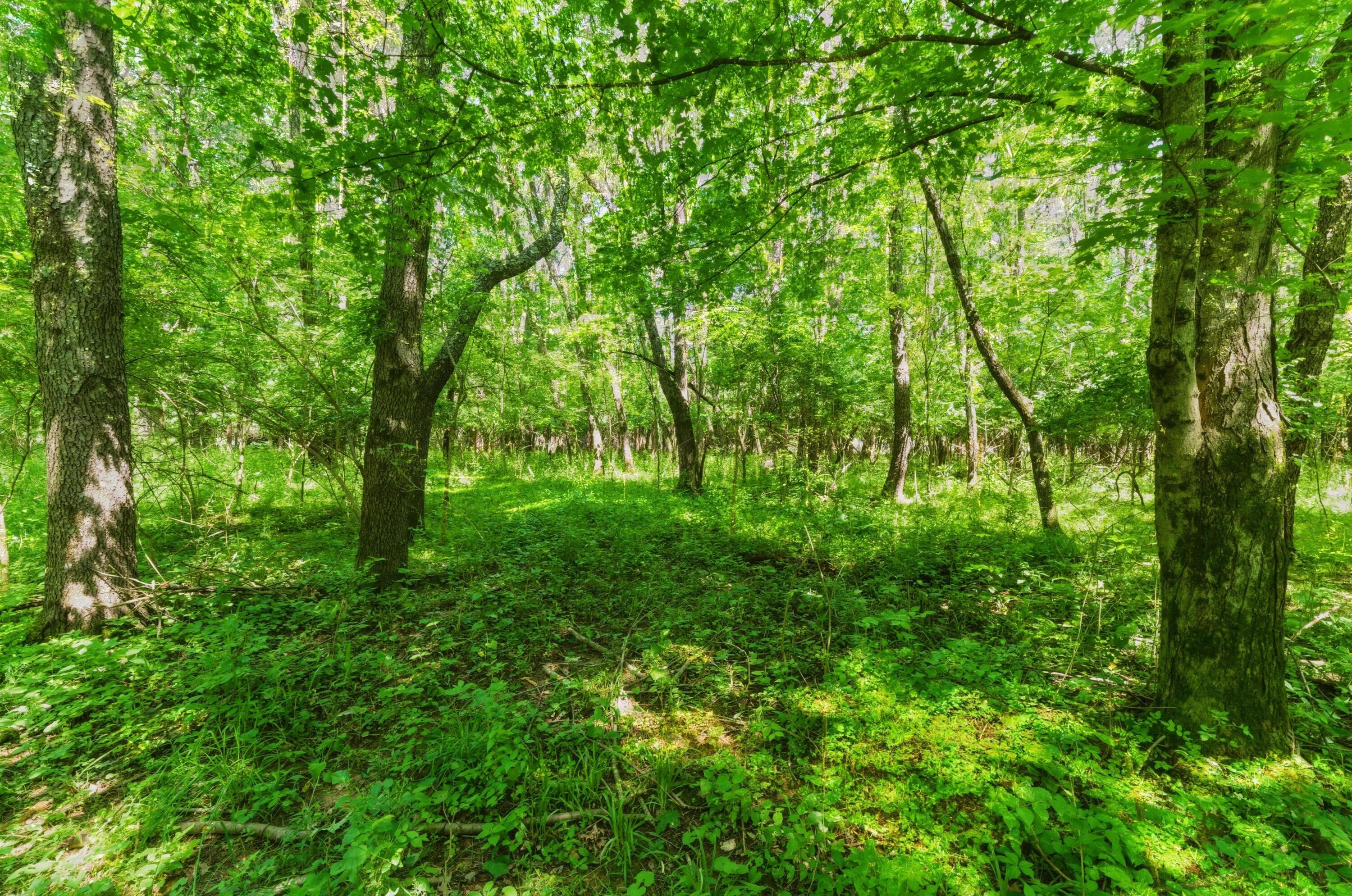 11775 Woodtown Road Galena, OH 43021 - Photo 19 of 41