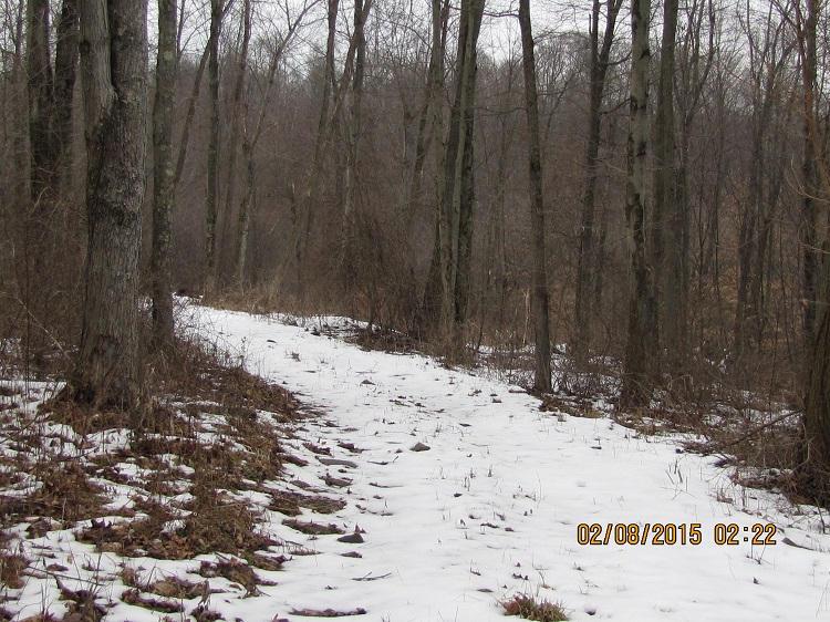 0 Bailey Road Walhonding, OH 43843 - Photo 2 of 5