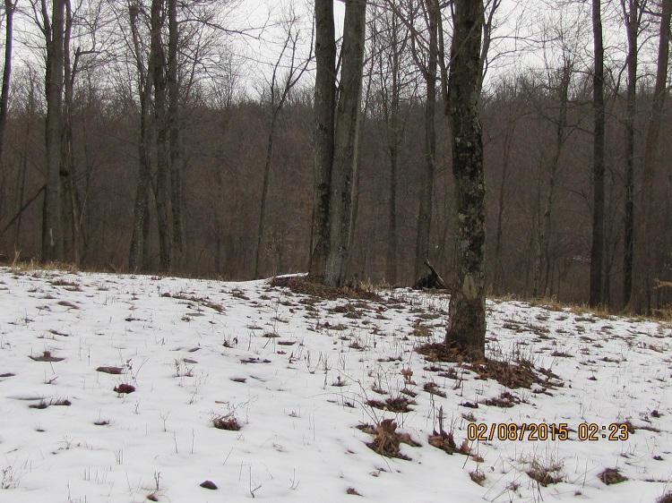 0 Bailey Road Walhonding, OH 43843 - Photo 3 of 5