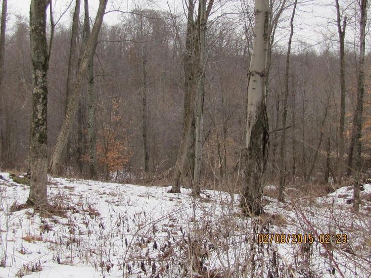 0 Bailey Road Walhonding, OH 43843 - Photo 4 of 5
