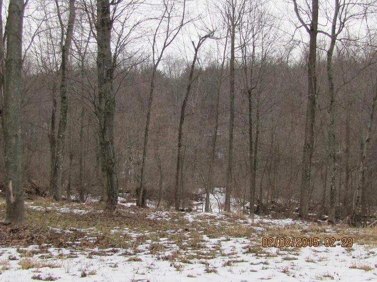 0 Bailey Road Walhonding, OH 43843 - Photo 5 of 5