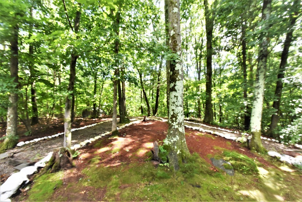 42 Chandler Road Burlington, MA 01803 - Photo 17 of 17 Gallery Image 17