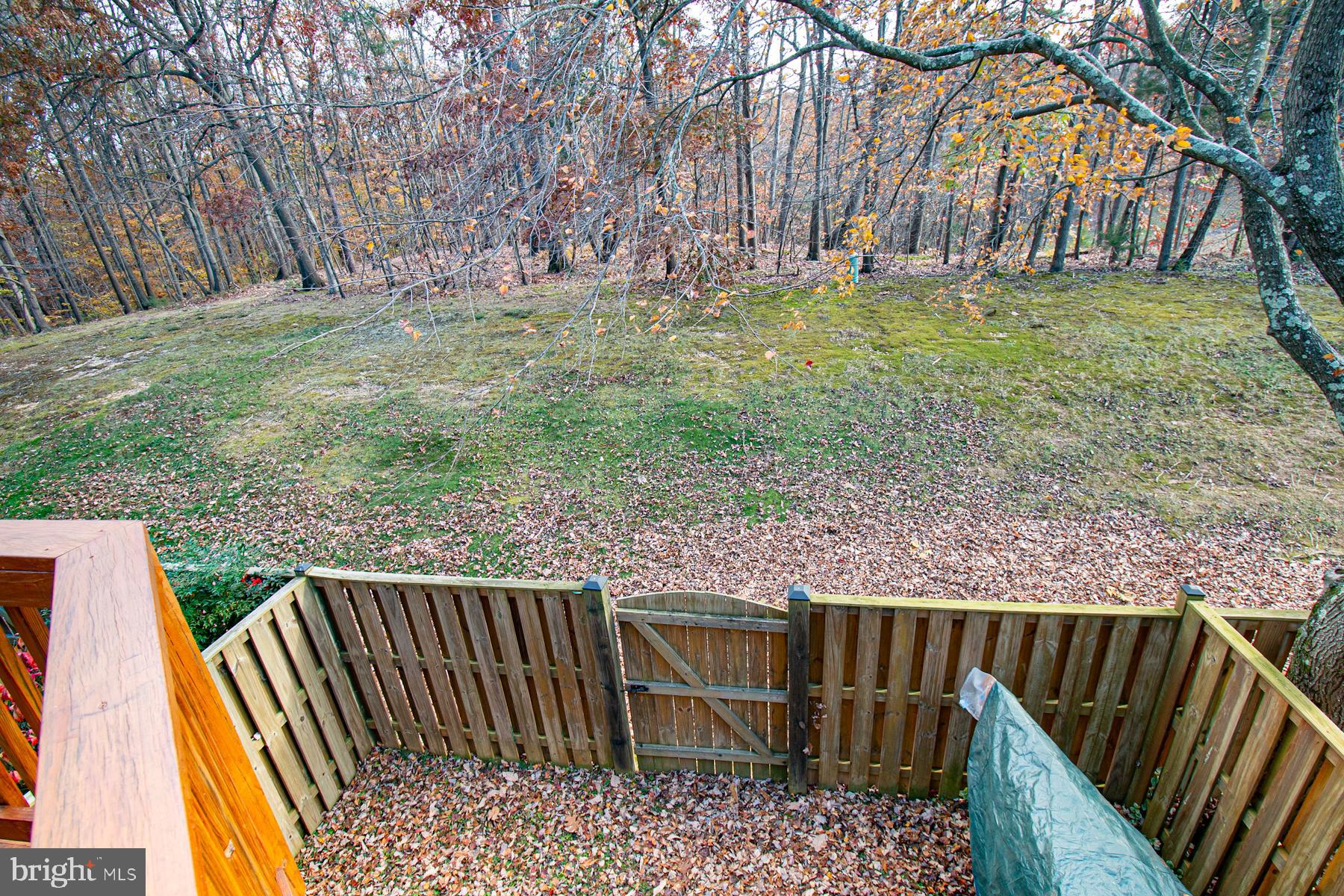 5619 Ridge View Drive Alexandria, VA 22310 - Photo 35 of 36 Private/ fenced rear yd. (Brick patio under deck)